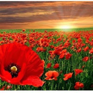 Meet your Posher, Cheryl